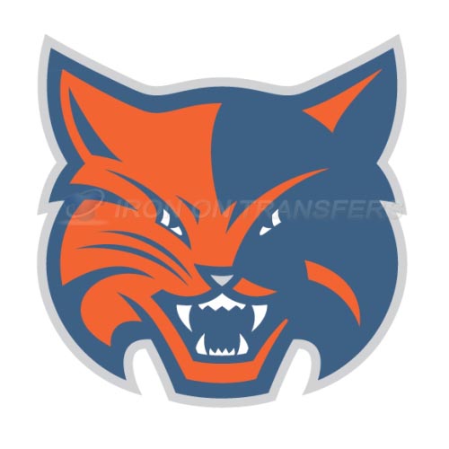 Charlotte Bobcats Iron-on Stickers (Heat Transfers)NO.930